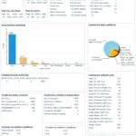 Summary Report